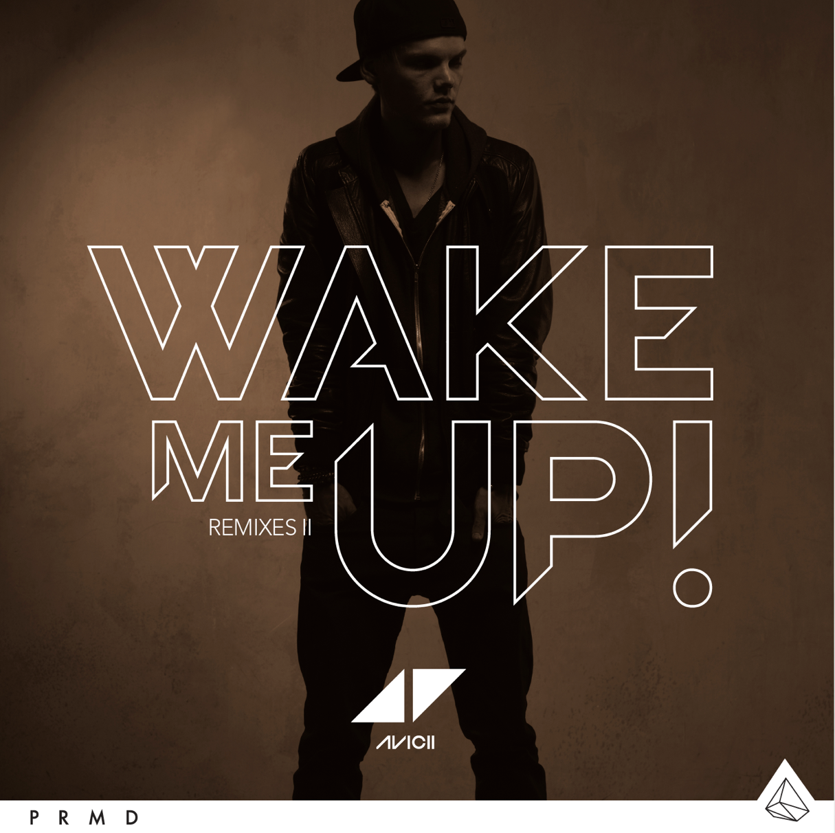 Wake Me Up Single Avicii